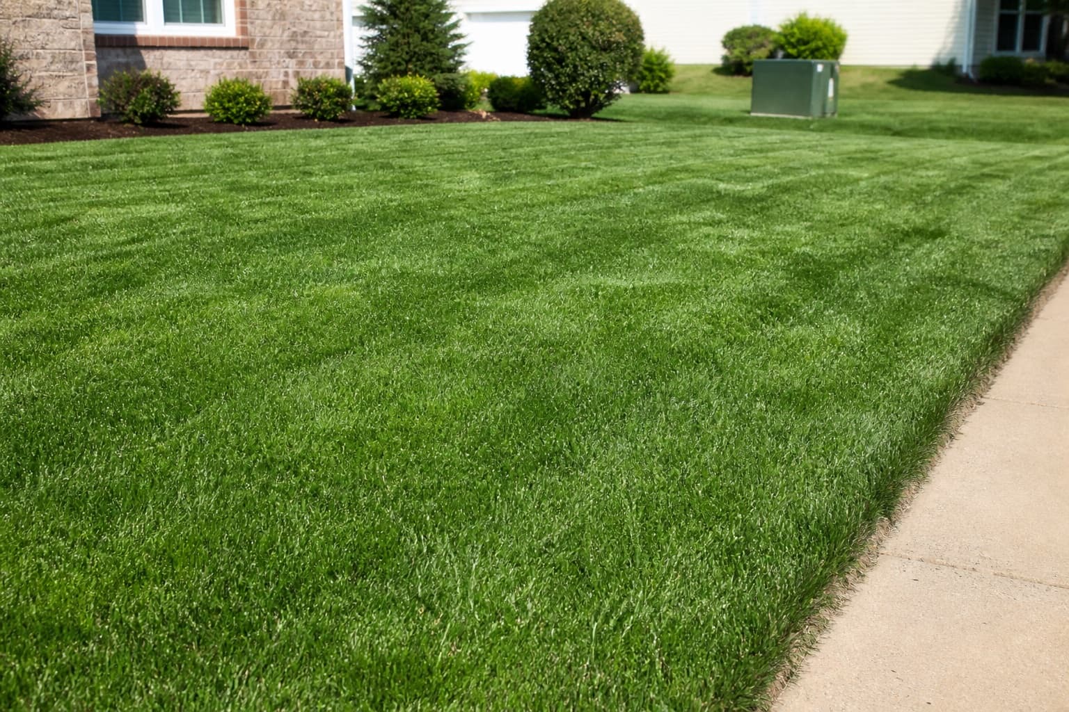 Lawn renovation & overseed in Bear, DE