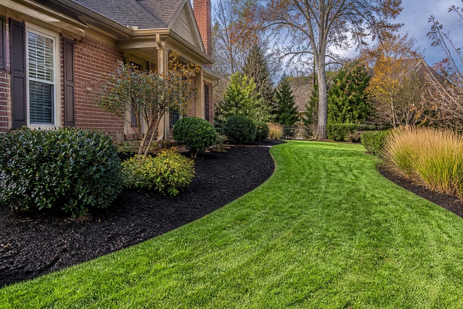 Yard Cleanups project example